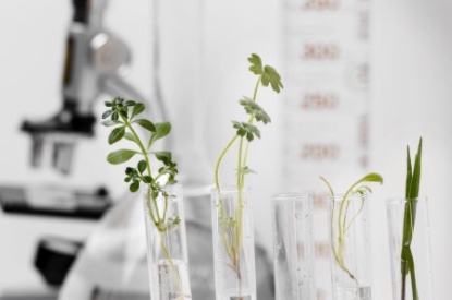 實驗室規劃注意事項：生物實驗室