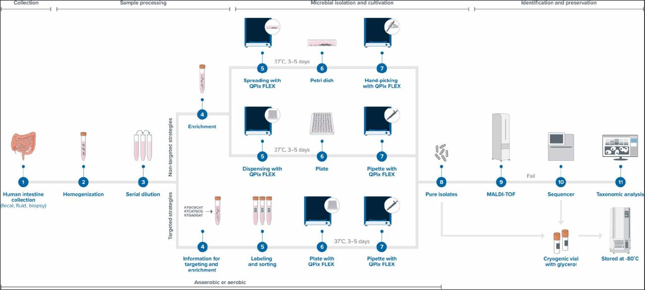 Microbiome workflow_20250421 Microbiome workflow_20250421